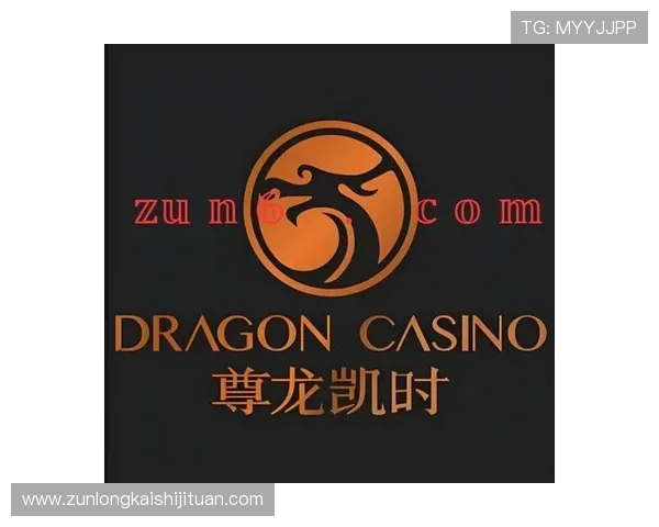 尊龙时凯中国官网入口下载流程详解，快速掌握下载安装步骤