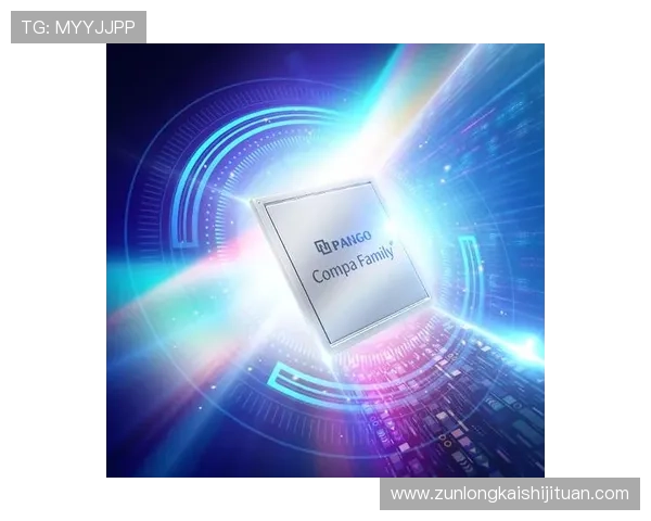 凯时尊龙app官网登录入口安全可靠，保障玩家账号信息和游戏资产的全面安全